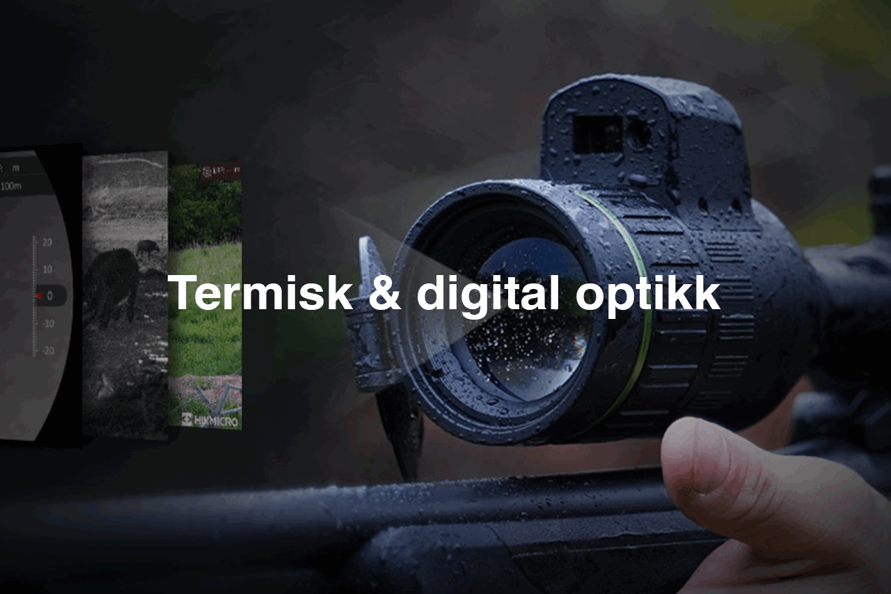 Termisk optikk