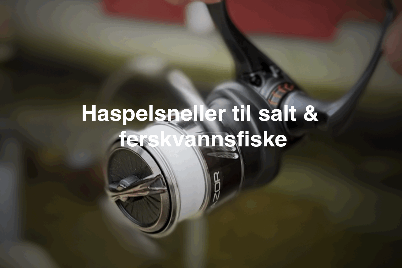 Haspelsneller