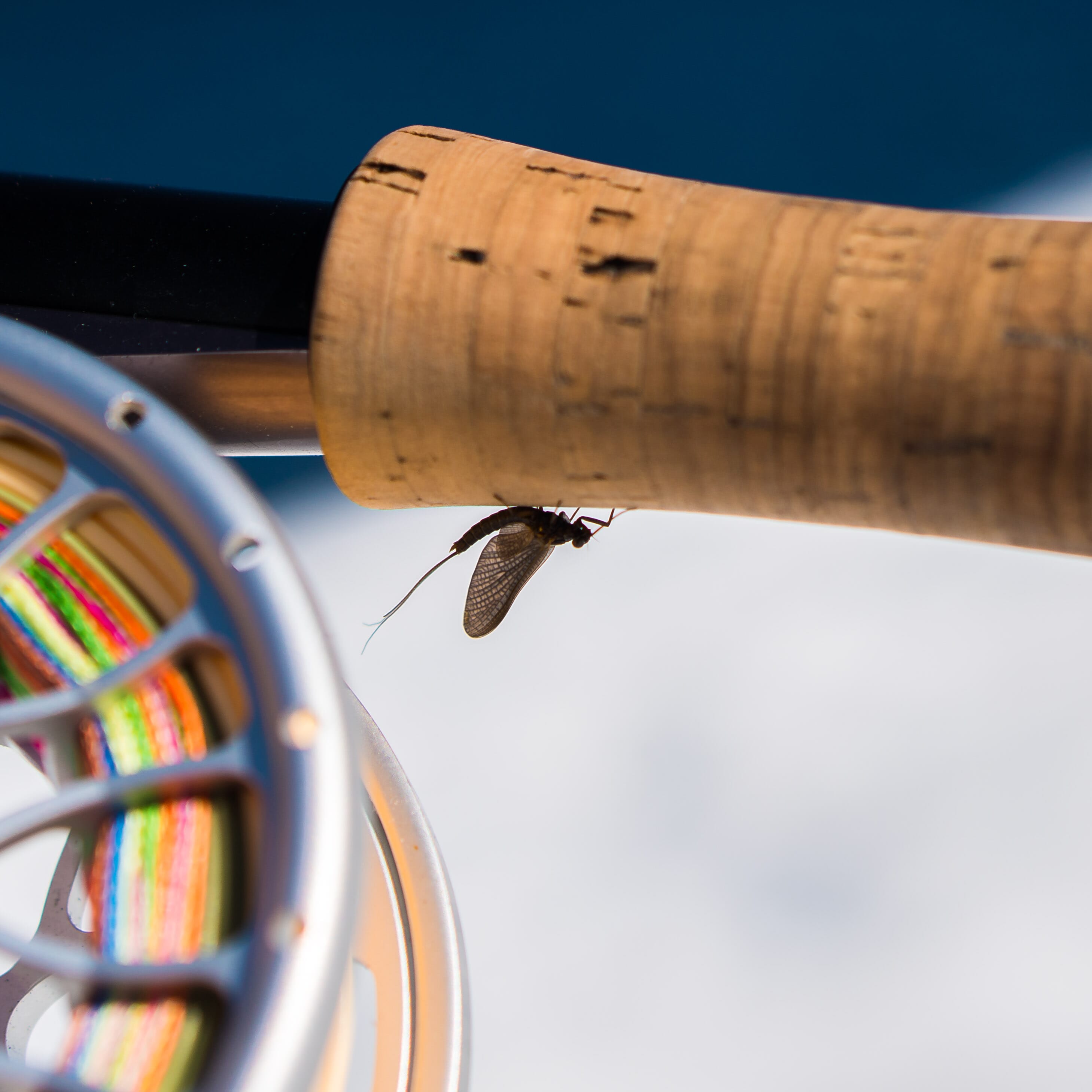 DSC01390.jpg DSC01390.jpg