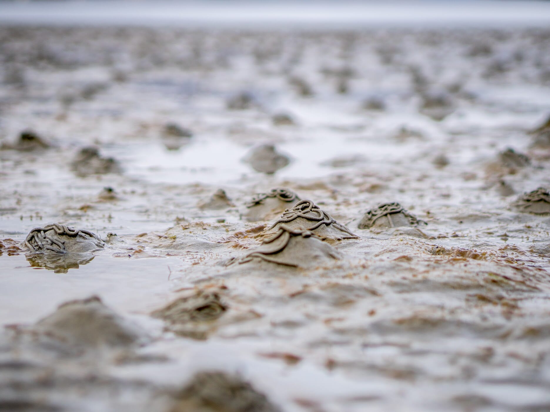 DSC01807l (1).jpg DSC01807l (1).jpg