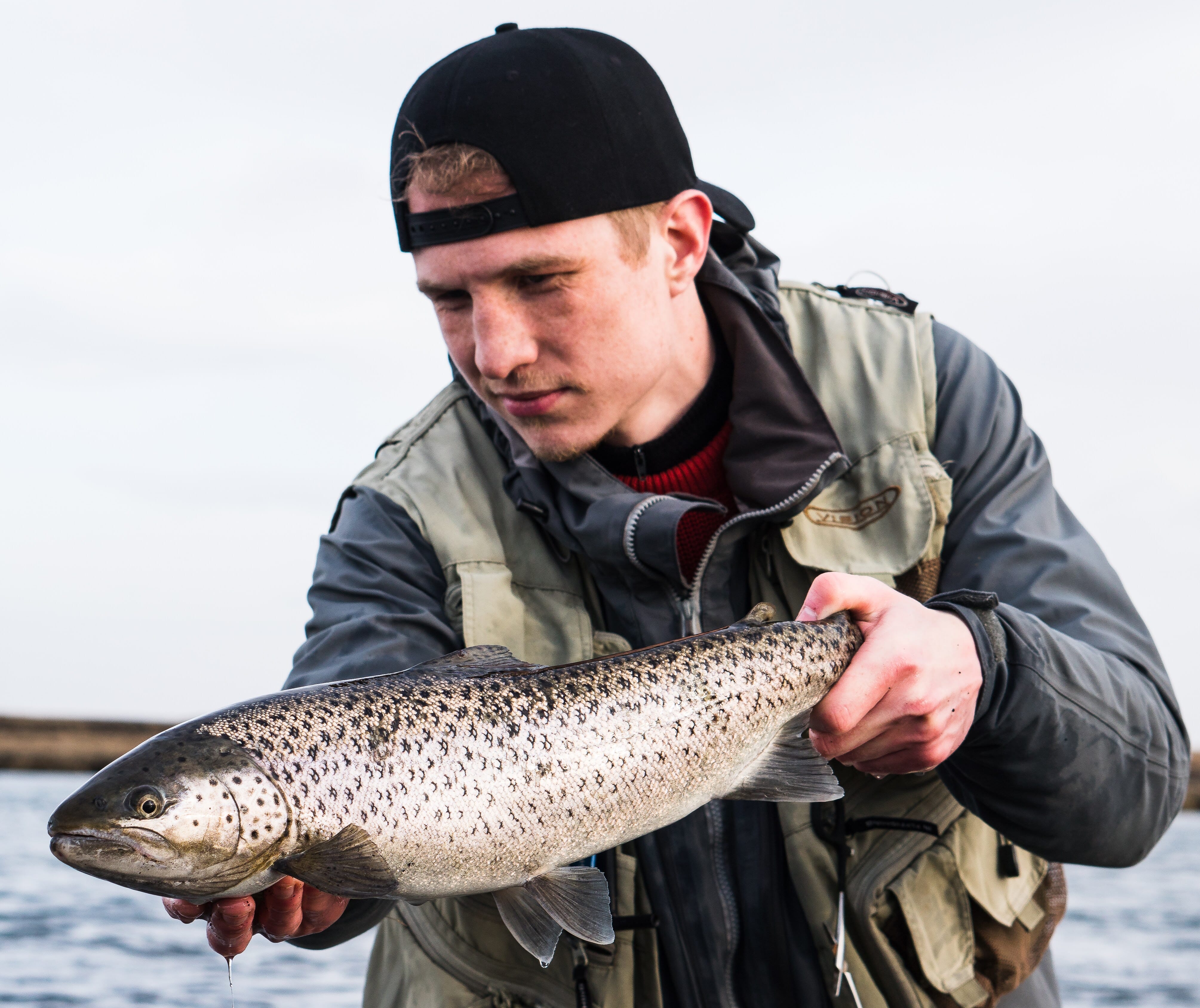 DSC02178l.jpg DSC02178l.jpg