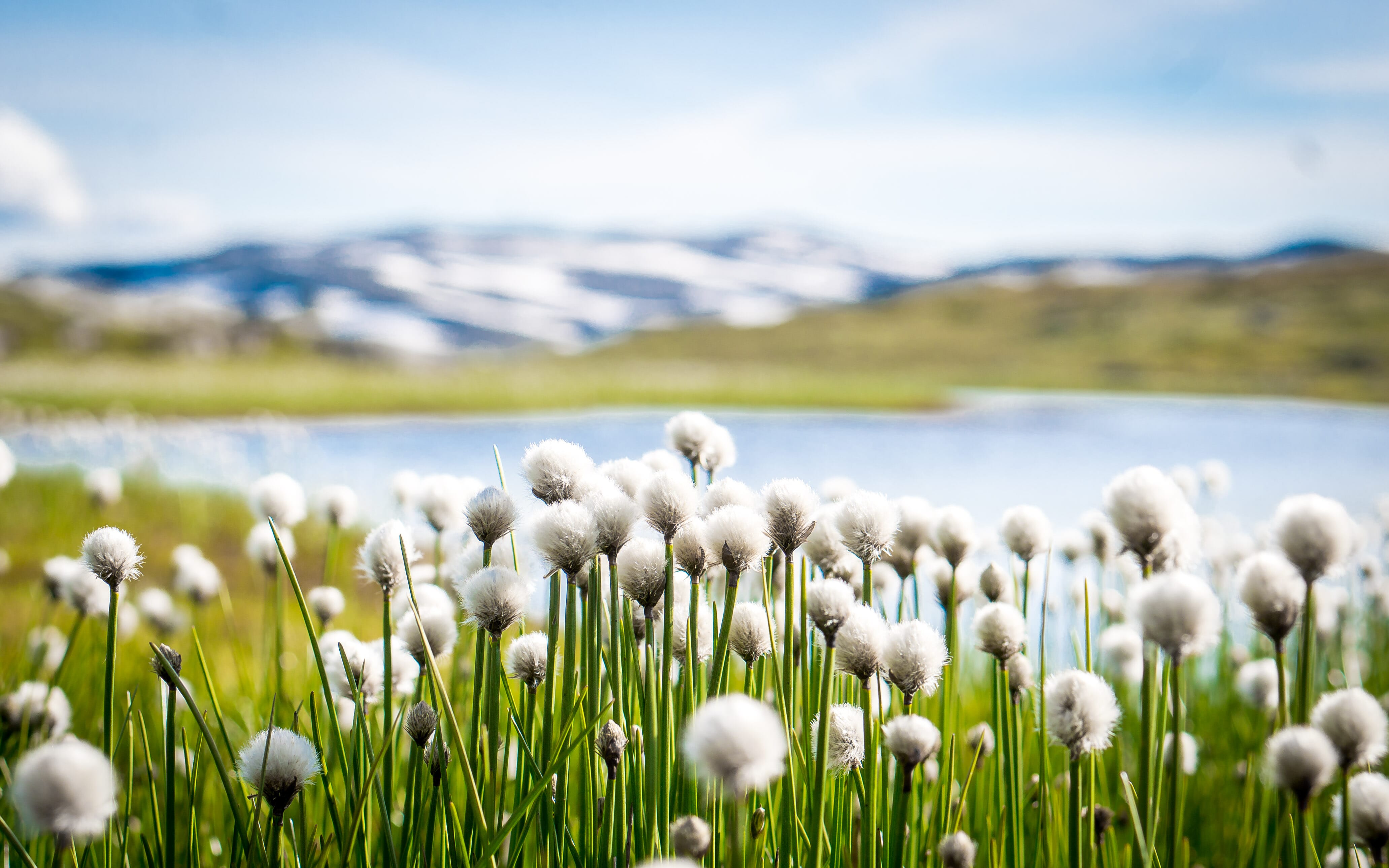 DSC06871.jpg DSC06871.jpg