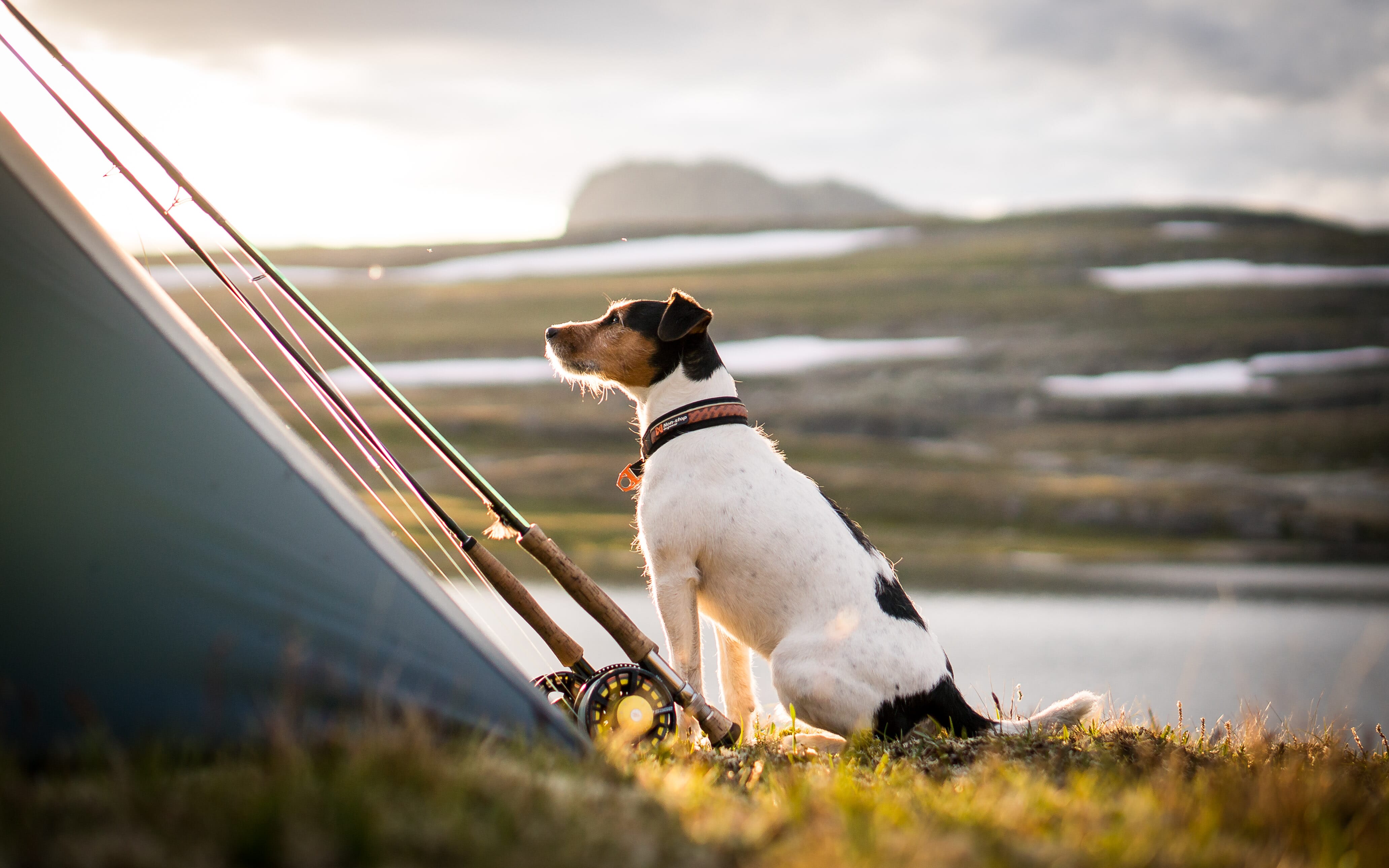 DSC07139.jpg DSC07139.jpg