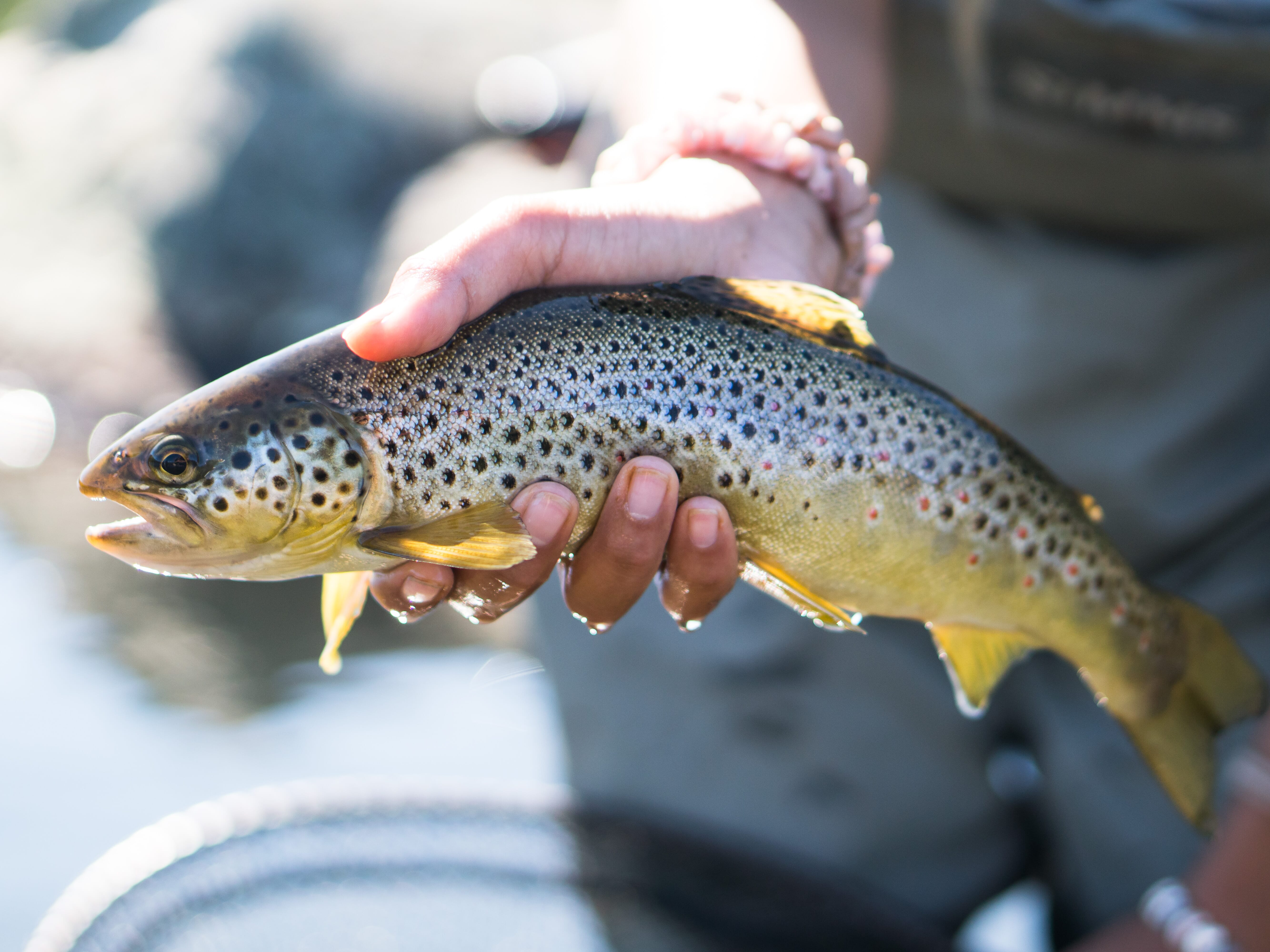 DSC09222l-2.jpg DSC09222l-2.jpg