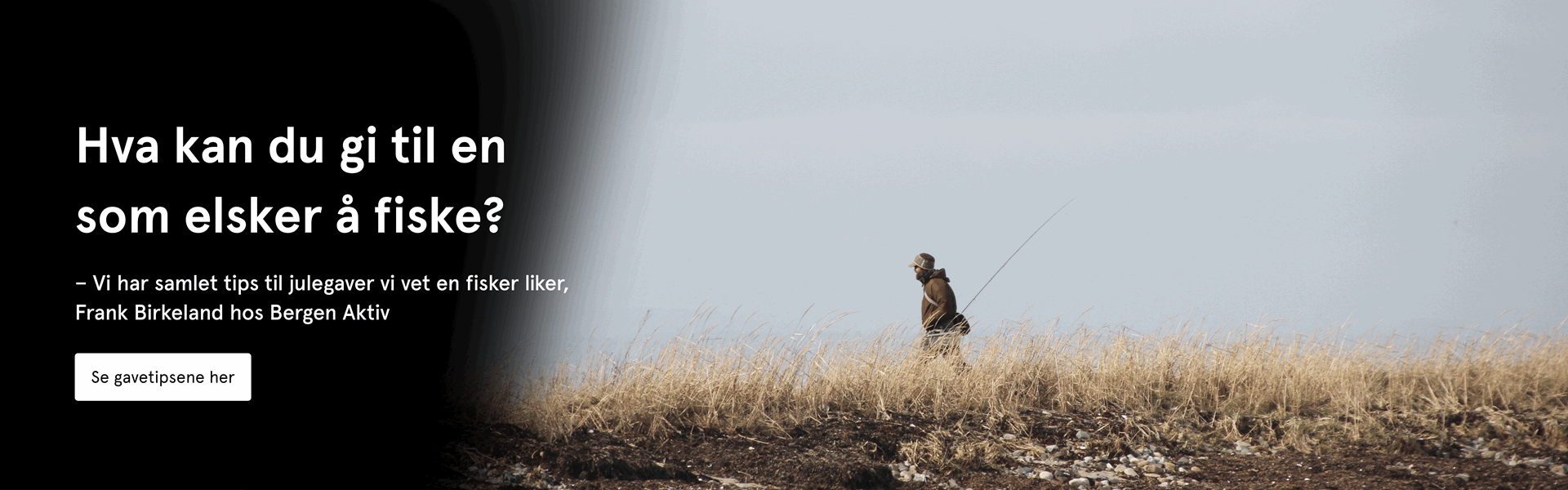 "Gavetips_fisker_desktop.png"