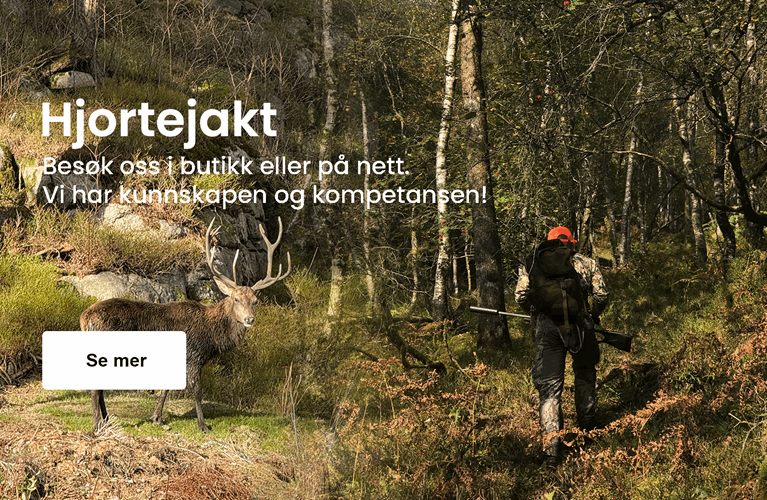 "Hjortejakt"