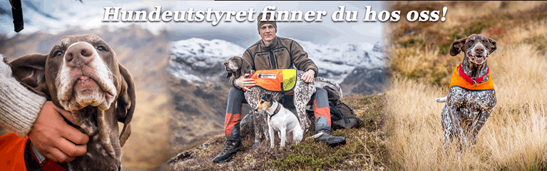 "Hundegøy_1.png"