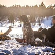 Gavetips til jegeren