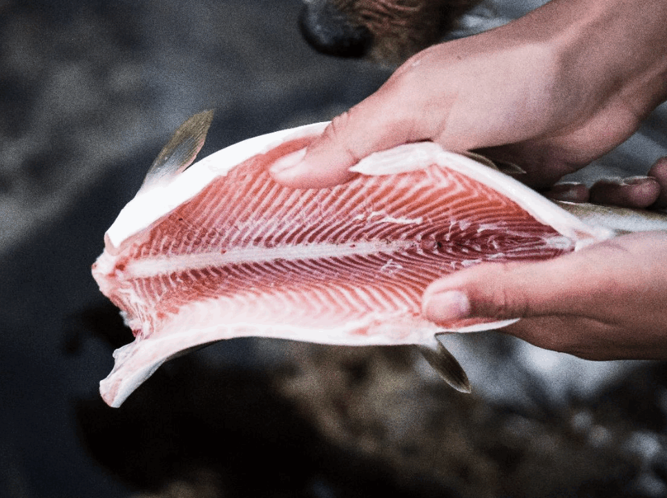 Skjermbilde 2025-07-04 kl. 10.21.15.png