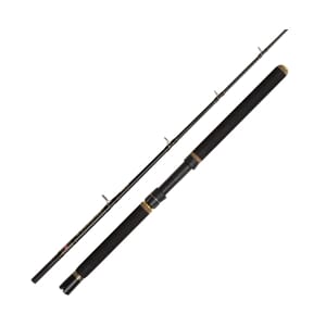 Penn Regiment III Boat Series 7' 210cm 20-30Ibs