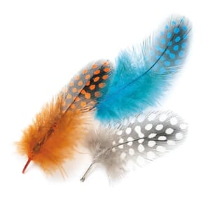Flyco Guinea Skins