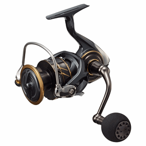Daiwa Caldia SW
