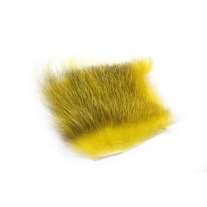 FutureFly American Opossum