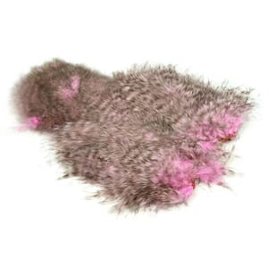 Whiting Spey Softhackle Cickabou Grizzly Dyed Shell Pink