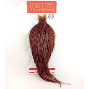 Whiting Rooster Cape Silver Grade Brown