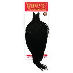Whiting Rooster Cape Bronze Grade
