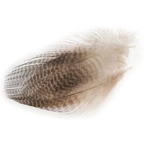 Flyco Teal Flank Feather Natural