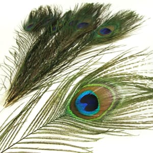 Flyco Peacock Eyes Natural