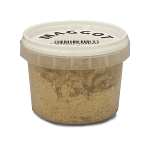 Riverside Maggot Hvit (Ca 250 stk )