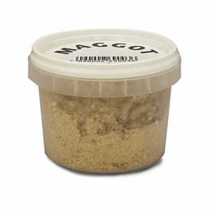 Riverside Maggot Hvit