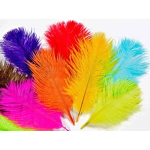 Frødin Feather Pack Ostrich