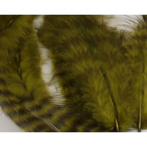 Hareline Softhackle Marabou Patch