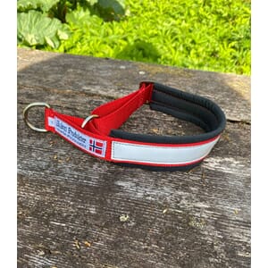 Huken Halsbånd Justerbar Rød