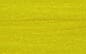 Fl_Yellow_571246FF01_2.jpg