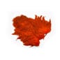Grizzly_Dyed_Orange_616044WH98_8.jpg