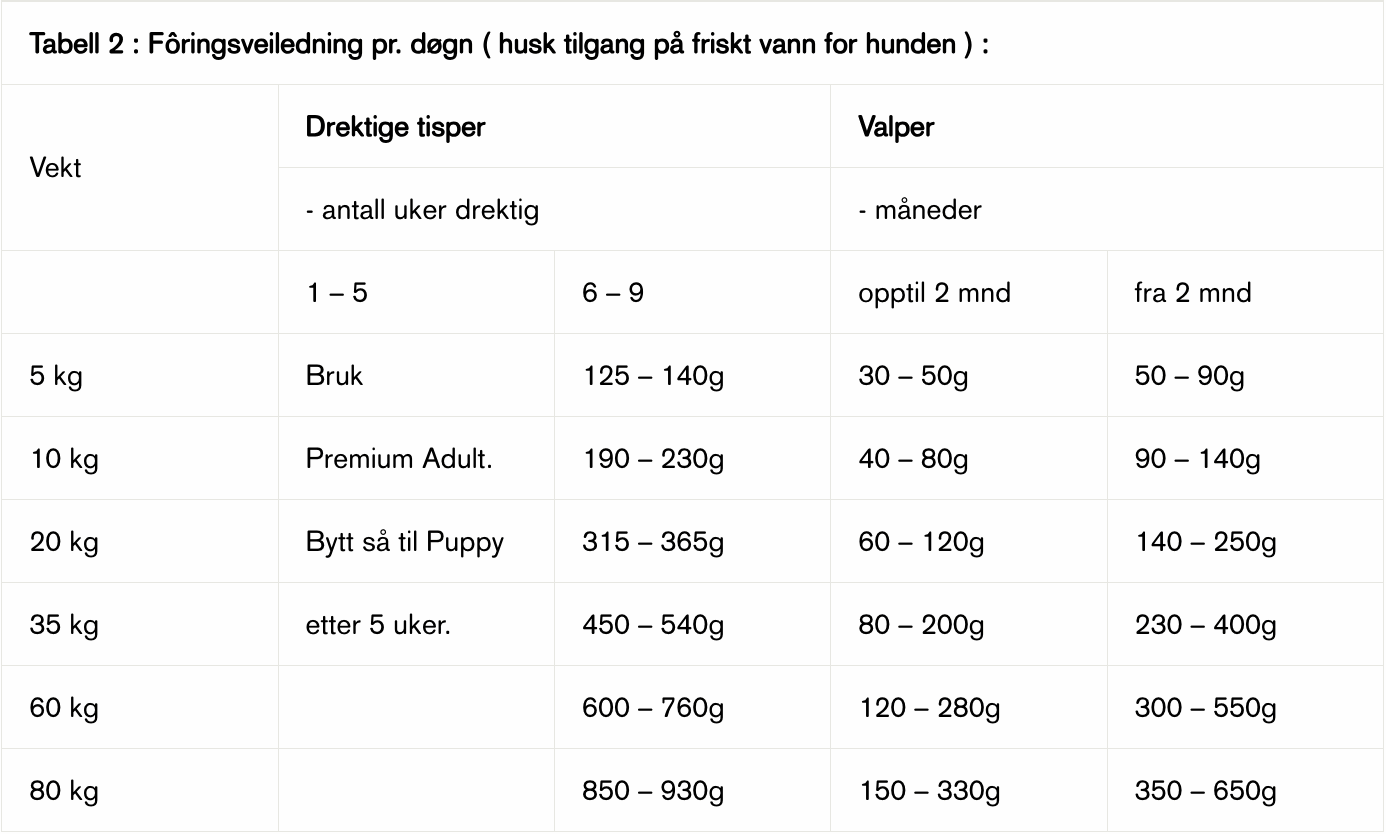 Skjermbilde 2024-01-08 kl. 13.17.20.png
